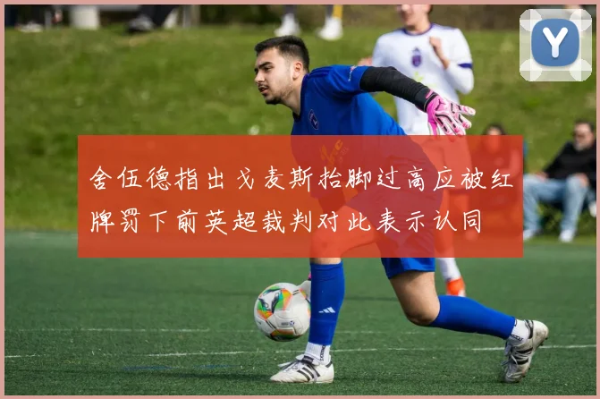 舍伍德指出戈麦斯抬脚过高应被红牌罚下前英超裁判对此表示认同