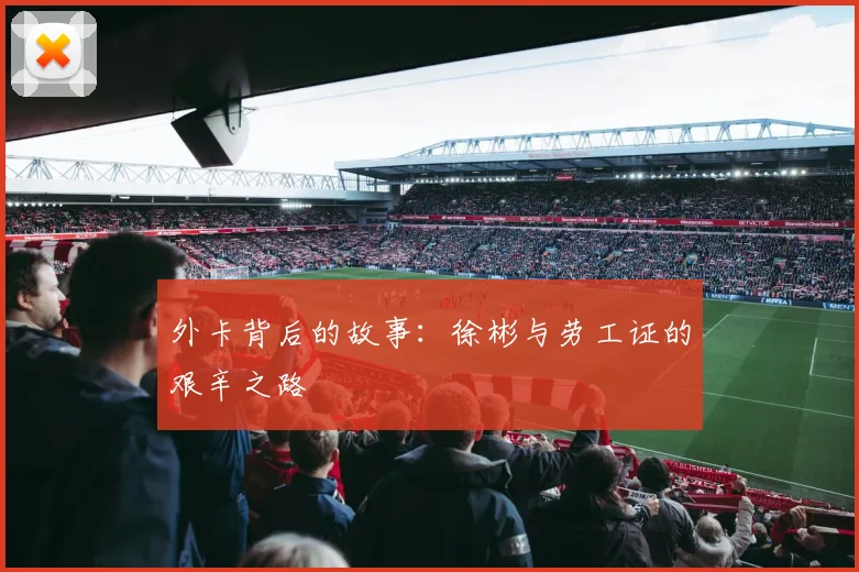 外卡背后的故事：徐彬与劳工证的艰辛之路