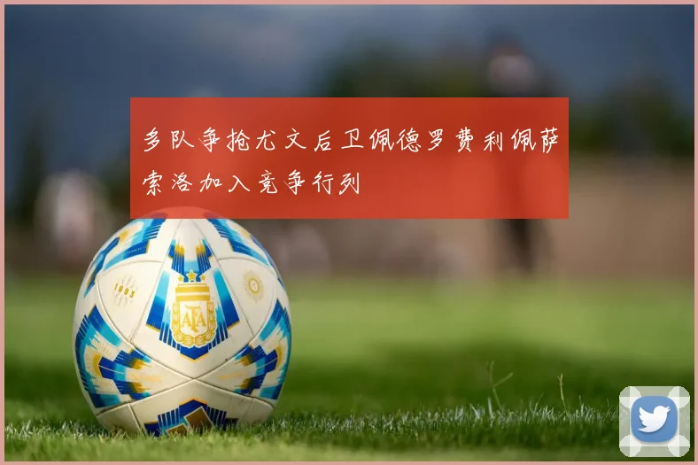 多队争抢尤文后卫佩德罗费利佩萨索洛加入竞争行列